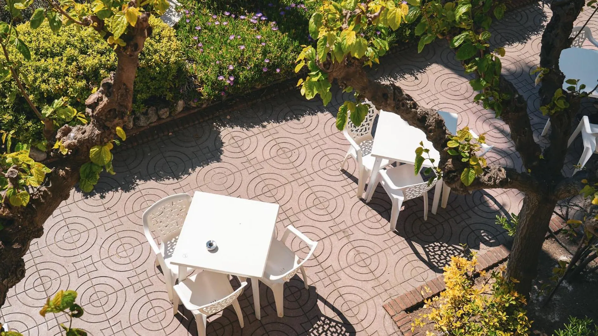 Hotel Htop Royal Sun #Htopfun Santa Susanna